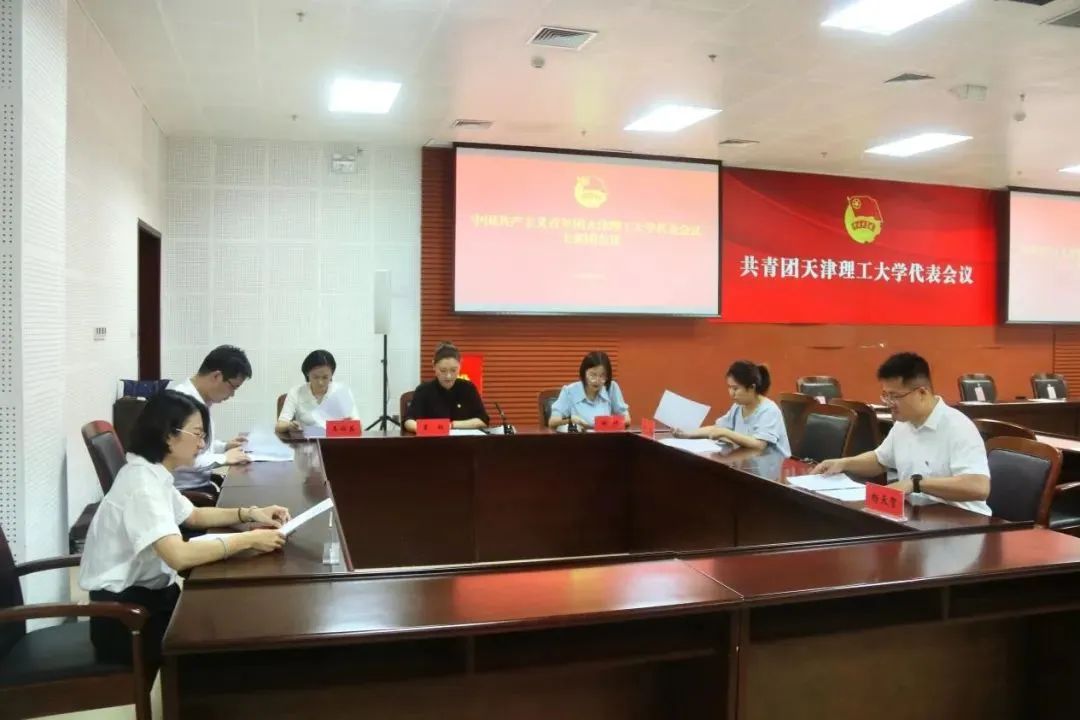 开云选举产生出席共青团天津市第十五次代表大会代表